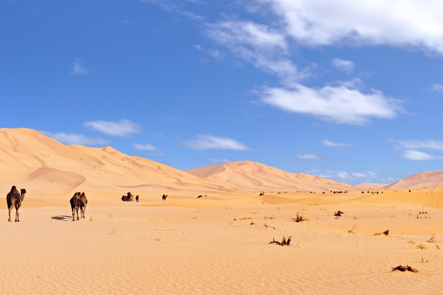 Exploring Saudi Arabia’s Empty Quarter by Car