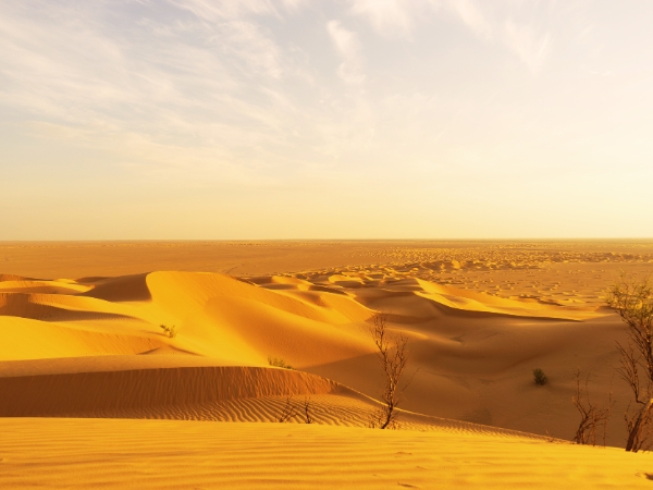 Exploring Saudi Arabia’s Empty Quarter by Car
