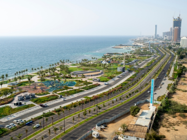 Should Tourists Explore Saudi Arabia by Car or Join a Tour?